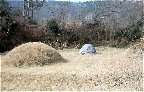 도초면 만년리에 있는 문선일씨 조부의 7년 된 초분(오른 쪽). 초분이 날아가지 않게 보온덮개를 씌워 놓았다 